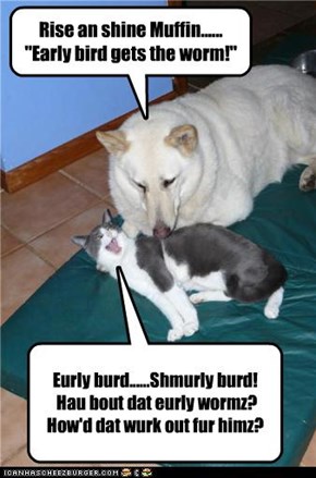 Rise an shine Muffin...... "Early bird gets the worm!"