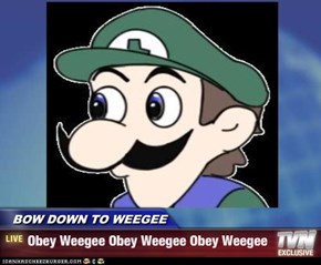 BOW DOWN TO WEEGEE - Obey Weegee Obey Weegee Obey Weegee
