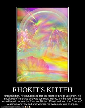 RHOKIT'S KITTEH
