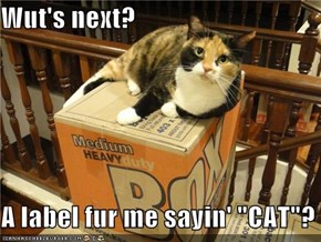 Wut's next?  A label fur me sayin' "CAT"?