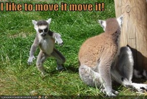 I like to move it move it!