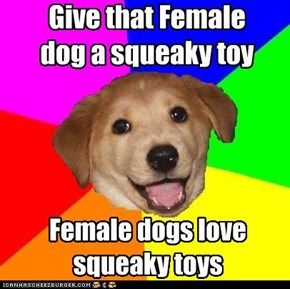 Give that Female dog a squeaky toy