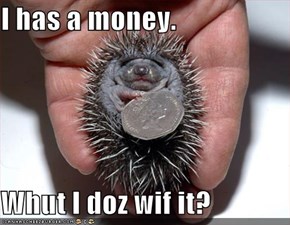 I has a money.  Whut I doz wif it?