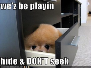 we'z be playin  hide & DON'T seek