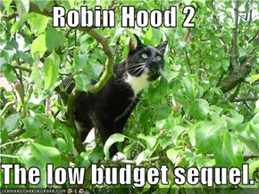 Robin Hood 2  The low budget sequel.