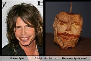 Steven Tyler Totally Looks Like Shrunken Apple Head