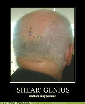 Shear Genius