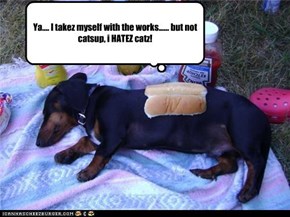 weiner doggie gets a say un what he gets on his hawtdog