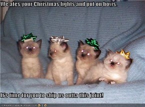 We ates your Christmas lights and put on bows.  It's time for you to ship us outta this joint!