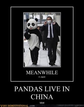 PANDAS LIVE IN CHINA