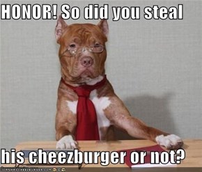 HONOR! So did you steal  his cheezburger or not?