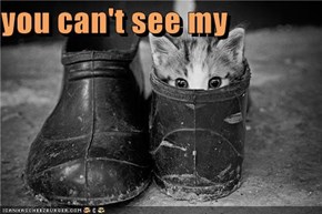 you can't see my