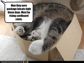 Man they sure package lolcats tight these days. Must be rising cardboard costs.