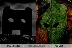 Stone Hendge Totally Looks Like Mad Leaf