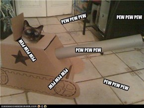 army kitteh go pew