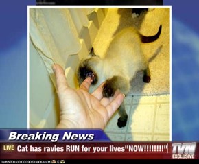 Breaking News - Cat has ravies RUN for your lives"NOW!!!!!!!!"