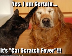 Yes, I am Certain....  It's "Cat Scratch Fever"!!!