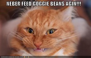 NEBER FEED GOGGIE BEANS AGIN!!!