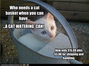NEW AND IMPROVED CAT BASKET!
