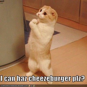 I can haz cheezeburger plz?