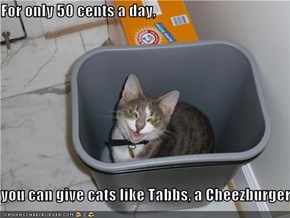 For only 50 cents a day,  you can give cats like Tabbs, a Cheezburger