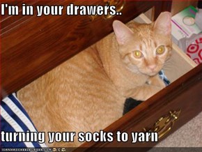 I'm in your drawers..  turning your socks to yarn