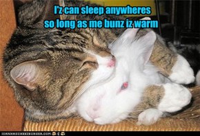 I'z can sleep anywheres