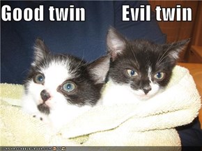 Good twin         Evil twin