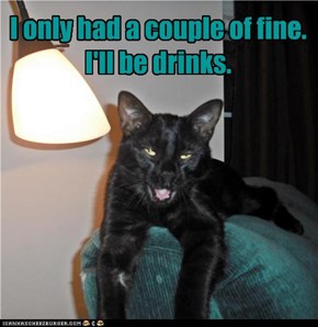 I only had a couple of fine. I'll be drinks.