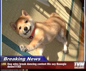 Breaking News - Dog wins break dancing contest His say Booogie down!!!!XD