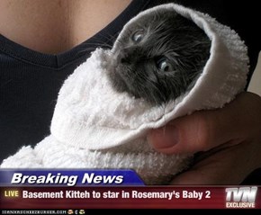 Breaking News - Basement Kitteh to star in Rosemary's Baby 2