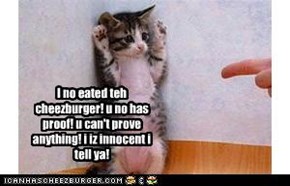 I no eated teh cheezburger! u no has proof! u can't prove anything! i iz innocent i tell ya!