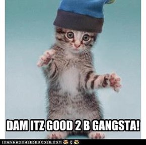 DAM ITZ GOOD 2 B GANGSTA!
