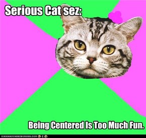 Serious Cat sez: