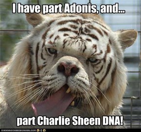 I have part Adonis, and...