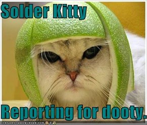 Solder Kitty  Reporting for dooty.