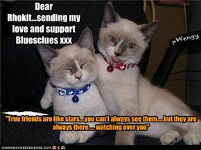 Dear Rhokit...sending my love and support Bluesclues xxx