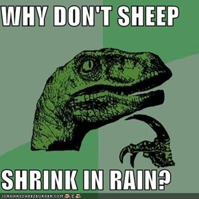 WHY DON'T SHEEP  SHRINK IN RAIN?