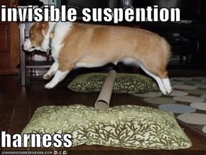 invisible suspention  harness