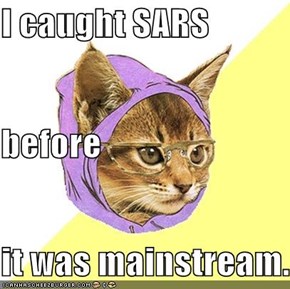 I caught SARS before it was mainstream.