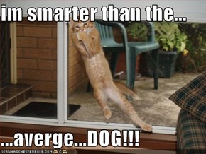 im smarter than the...  ...averge...DOG!!!