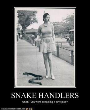 SNAKE HANDLERS