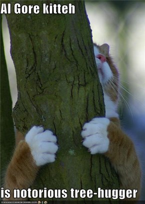 Al Gore kitteh  is notorious tree-hugger