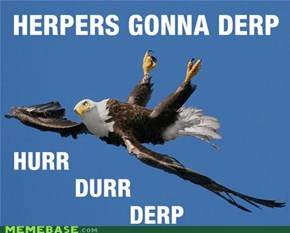 Eagle derp 5000