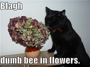 Blagh  dumb bee in flowers.
