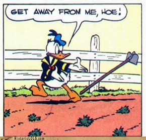 Donald Keeps His Pimp Game Strong