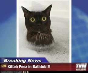 Breaking News - Kitteh Peez in Bathtub!!!