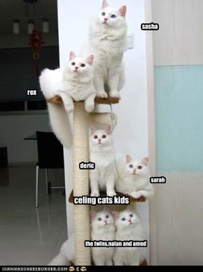 celing cats kids