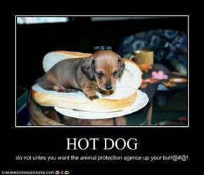 HOT DOG
