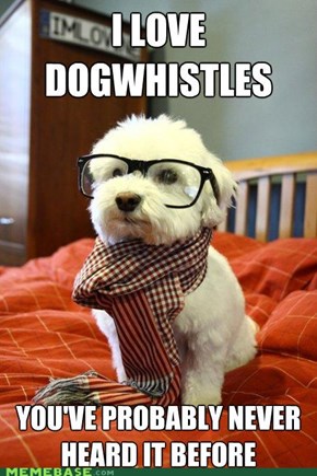 IRL Hipster Dog
